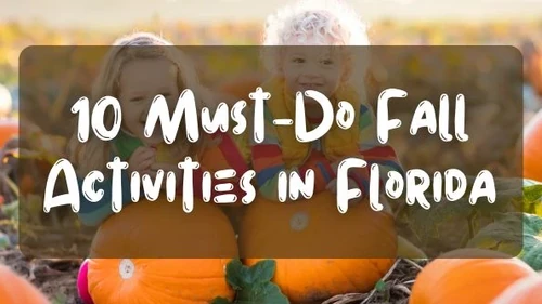 10 Must-Do Fall Activities in Florida