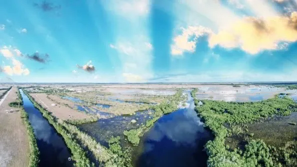 Explore the Everglades.