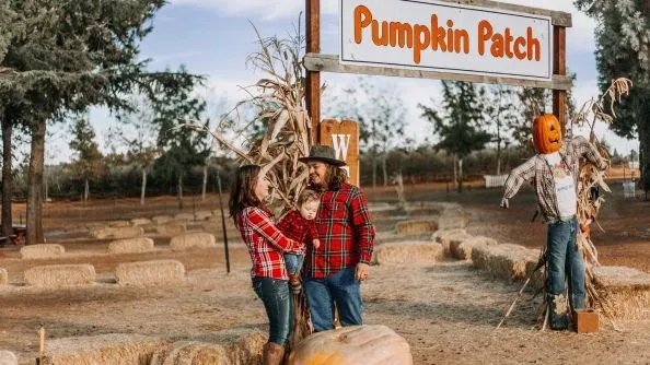 Pick out some pumpkins at a pumpkin patch.