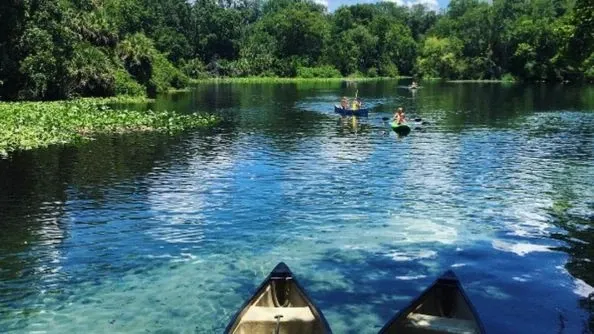Escape to the serene beauty of Wekiwa Springs State Park where they have crystal-clear waters.
