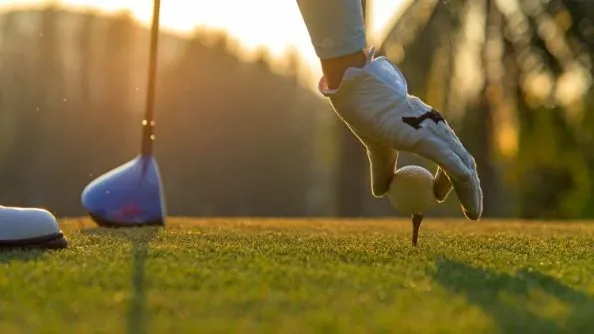 Florida has become a mecca for golfers from around the world and Davenport is no exception.
