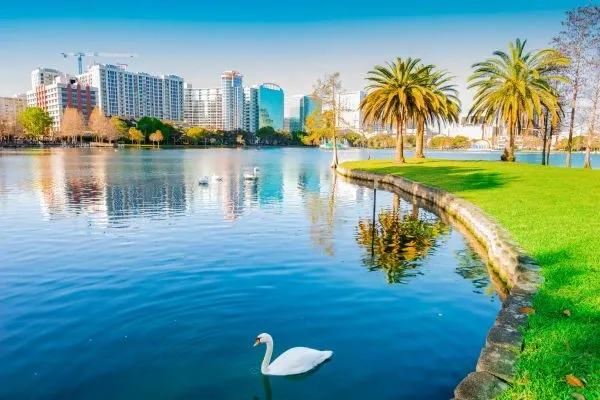 A picturesque lake located in downtown Orlando, Florida, offering scenic beauty, recreational activities, and a vibrant...