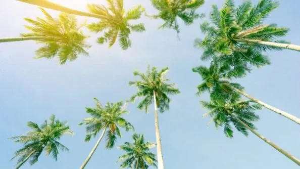 Before starting a move, do your research and choose a city that best fits your lifestyle.