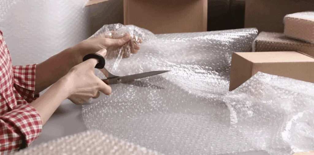 Cushion 